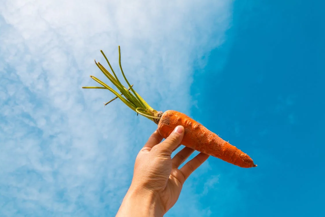 Foto di una carota retta da una mano verso il cielo