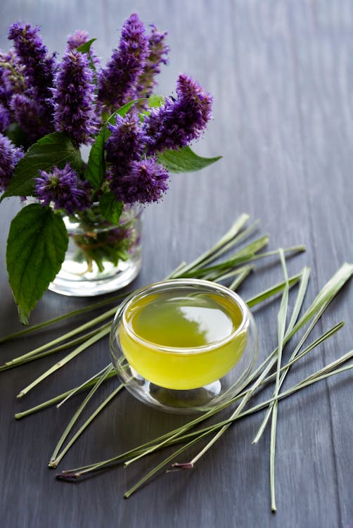 Foto di un vasetto con dei fiori viola e vicino una ciotola con dell'olio essenziale di citronella, pianta contro le zanzare